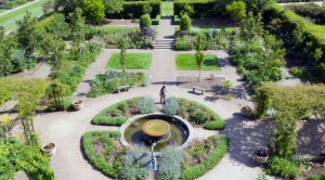 Aerial view of garden